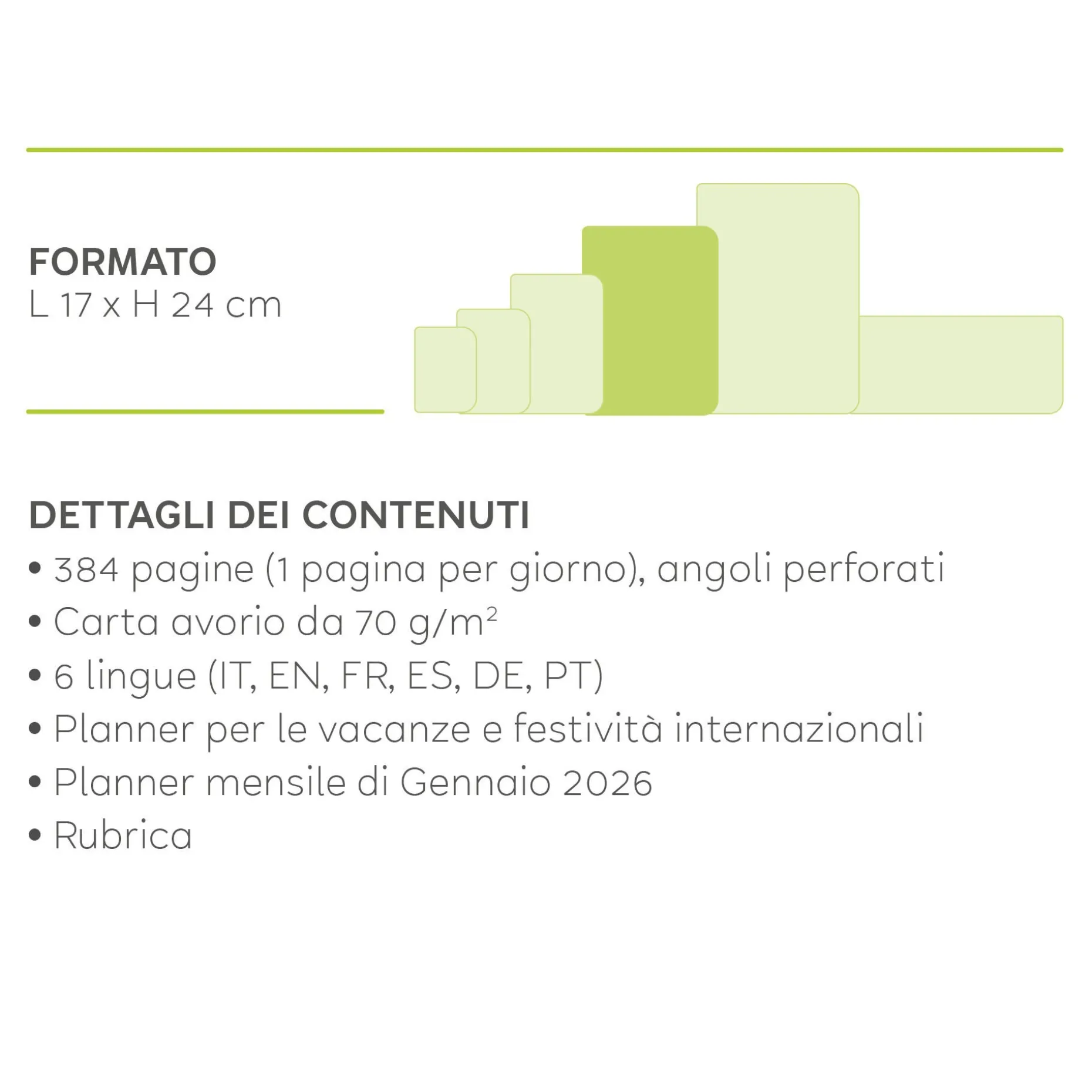 Agenda 12 Mesi Giornaliera - Large - 2025