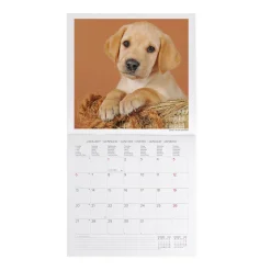 Calendario da Parete 2025 - 30 x 29 cm