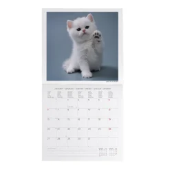 Calendario da Parete 2025 - 30 x 29 cm