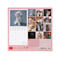 Calendario da Parete 2025 - 30 x 29 cm