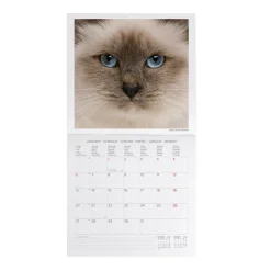 Calendario da Parete 2025 - 30 x 29 cm