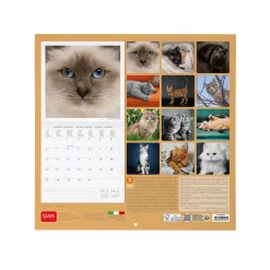 Calendario da Parete 2025 - 30 x 29 cm