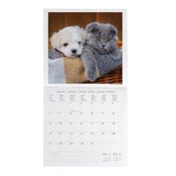 Calendario da Parete 2025 - 30 x 29 cm
