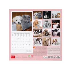 Calendario da Parete 2025 - 30 x 29 cm