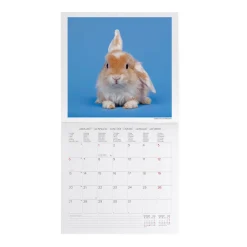 Calendario da Parete 2025 - 30 x 29 cm
