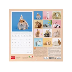 Calendario da Parete 2025 - 30 x 29 cm