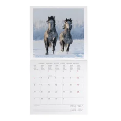 Calendario da Parete 2025 - 30 x 29 cm