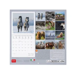 Calendario da Parete 2025 - 30 x 29 cm