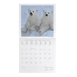 Calendario da Parete 2025 - 30 x 29 cm