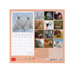Calendario da Parete 2025 - 30 x 29 cm