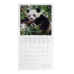 Calendario da Parete 2025 - 30 x 29 cm