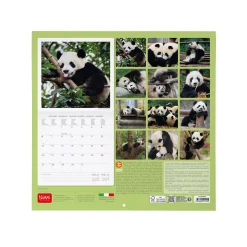 Calendario da Parete 2025 - 30 x 29 cm