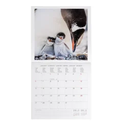 Calendario da Parete 2025 - 30 x 29 cm