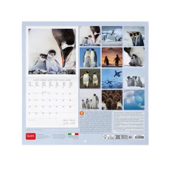 Calendario da Parete 2025 - 30 x 29 cm