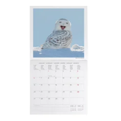 Calendario da Parete 2025 - 30 x 29 cm