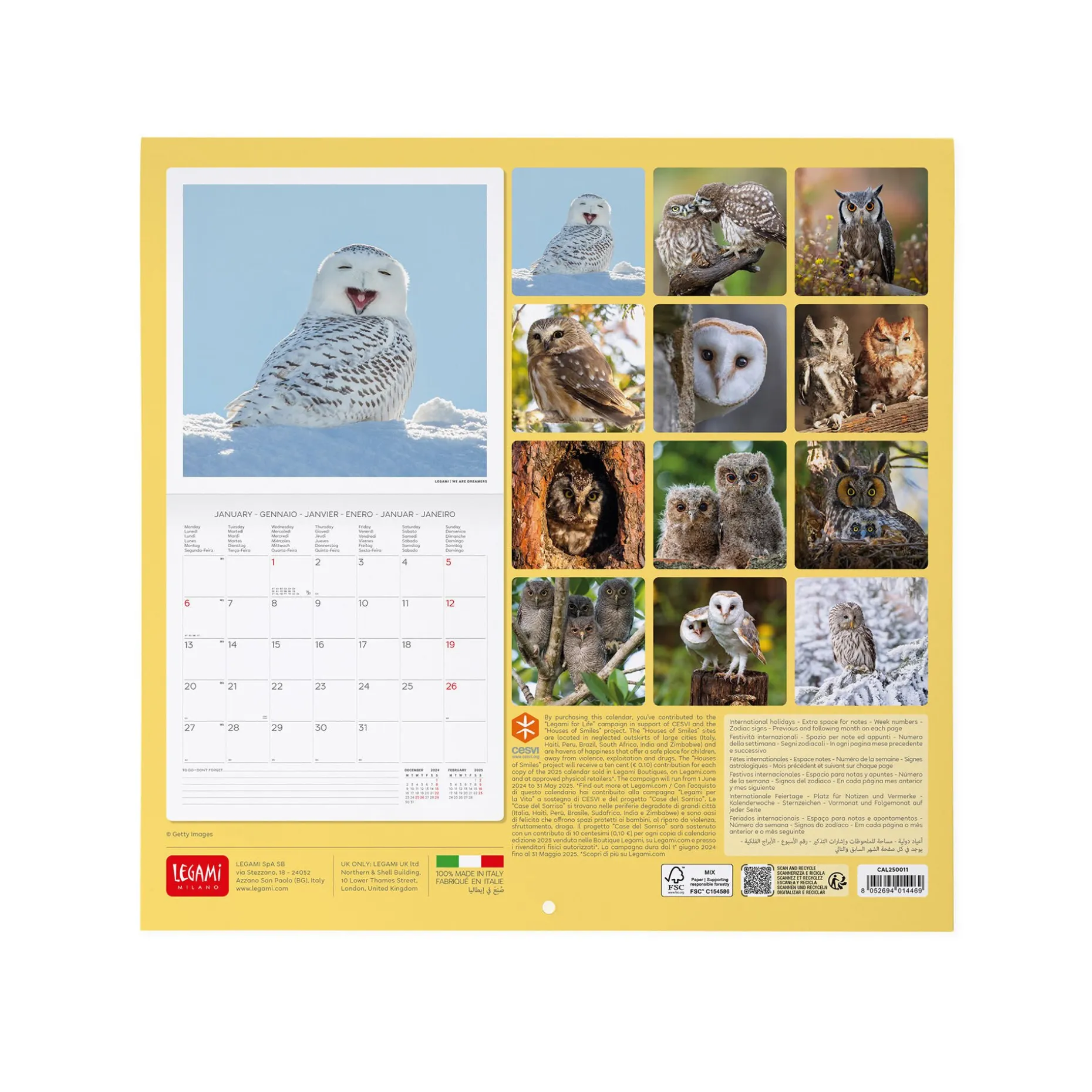 Calendario da Parete 2025 - 30 x 29 cm