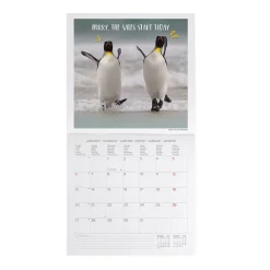 Calendario da Parete 2025 - 30 x 29 cm