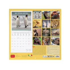 Calendario da Parete 2025 - 30 x 29 cm