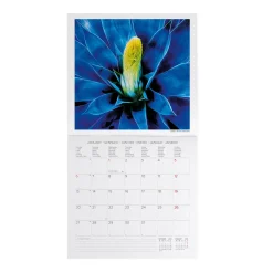 Calendario da Parete 2025 - 30 x 29 cm