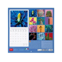 Calendario da Parete 2025 - 30 x 29 cm