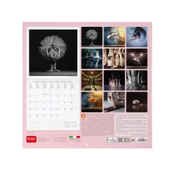 Calendario da Parete 2025 - 30 x 29 cm