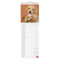 Calendario da Parete 2025 - 16 x 49 cm