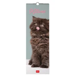 Calendario da Parete 2025 - 16 x 49 cm