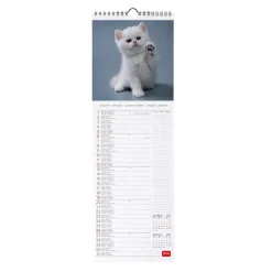 Calendario da Parete 2025 - 16 x 49 cm