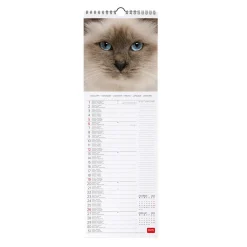 Calendario da Parete 2025 - 16 x 49 cm