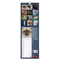 Calendario da Parete 2025 - 16 x 49 cm