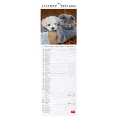 Calendario da Parete 2025 - 16 x 49 cm