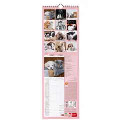 Calendario da Parete 2025 - 16 x 49 cm