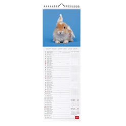 Calendario da Parete 2025 - 16 x 49 cm