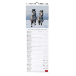 Calendario da Parete 2025 - 16 x 49 cm