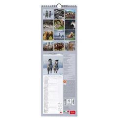 Calendario da Parete 2025 - 16 x 49 cm