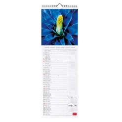 Calendario da Parete 2025 - 16 x 49 cm