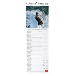 Calendario da Parete 2025 - 16 x 49 cm