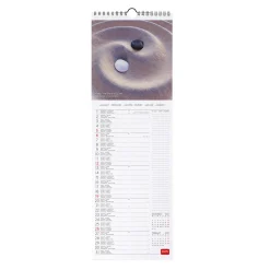 Calendario da Parete 2025 - 16 x 49 cm