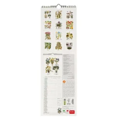 Calendario da Parete 2025 - 16 x 49 cm