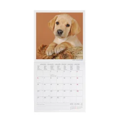 Calendario da Parete 2025 - 18 x 18 cm