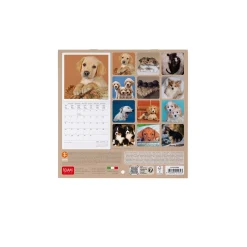 Calendario da Parete 2025 - 18 x 18 cm