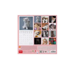 Calendario da Parete 2025 - 18 x 18 cm