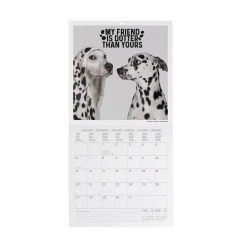 Calendario da Parete 2025 - 18 x 18 cm