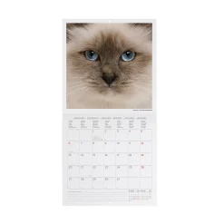 Calendario da Parete 2025 - 18 x 18 cm