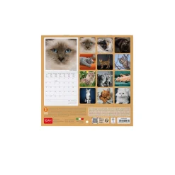 Calendario da Parete 2025 - 18 x 18 cm
