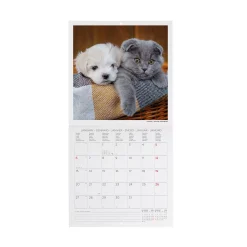 Calendario da Parete 2025 - 18 x 18 cm