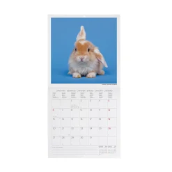 Calendario da Parete 2025 - 18 x 18 cm
