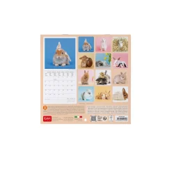 Calendario da Parete 2025 - 18 x 18 cm