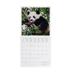 Calendario da Parete 2025 - 18 x 18 cm