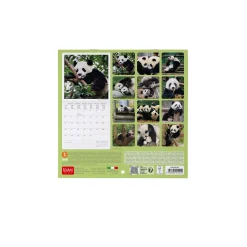 Calendario da Parete 2025 - 18 x 18 cm
